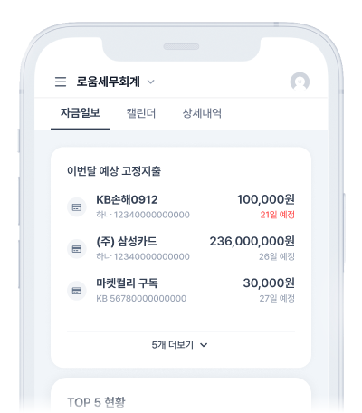 자금일보 예상 지출 목업
